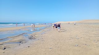GC-Playa de Maspalomas 2026-109.jpg